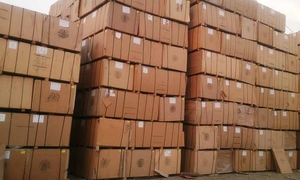 MDF MALASIAN