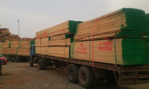 AUSTRIAN WHITE WOOD